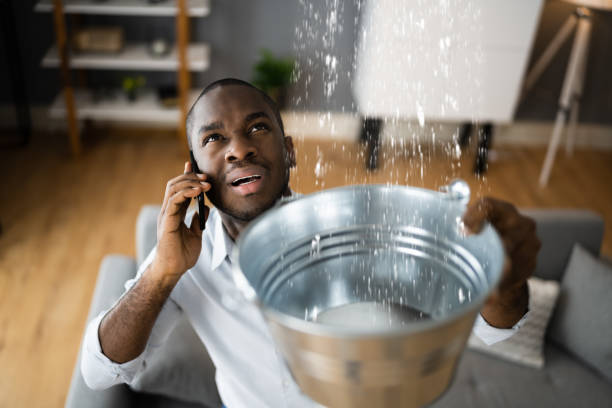 Best Flood restoration services  in Lincoln Rk, PA