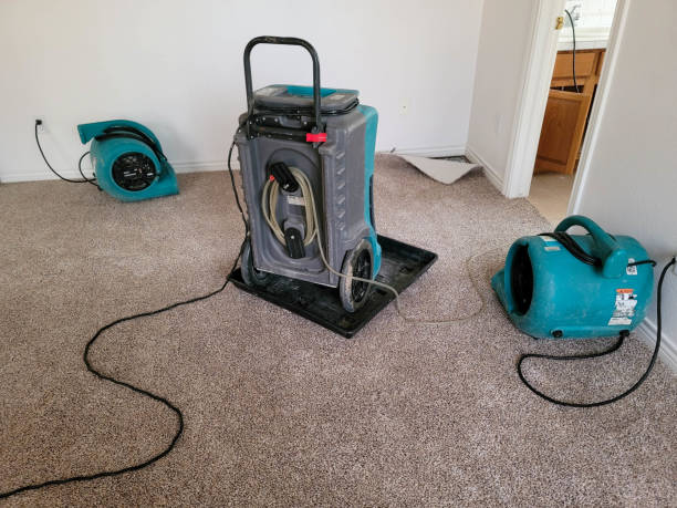Best Water damage restoration near me  in Lincoln Rk, PA