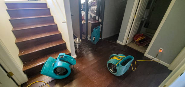 Best Flooded house restoration  in Lincoln Rk, PA