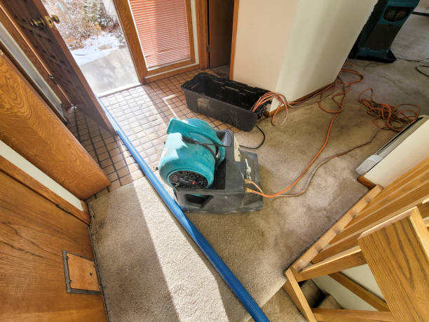 Best Water damage restoration near me  in Lincoln Rk, PA