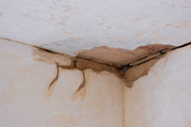 Best Mold removal after water damage  in Lincoln Rk, PA