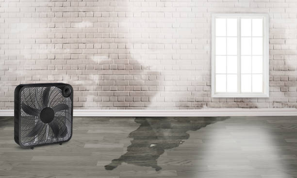 Best Carpet water damage restoration  in Lincoln Rk, PA