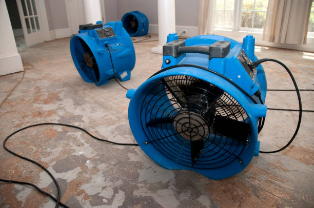 Best Water damage contractors near me  in Lincoln Rk, PA