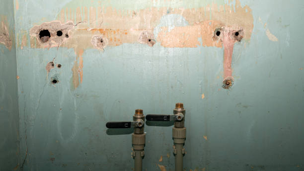 Best Flood damage cleanup  in Lincoln Rk, PA